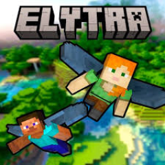 Elytra Flight